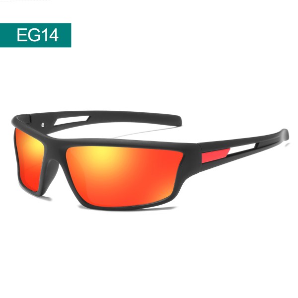 GLASSES/Sunglasses