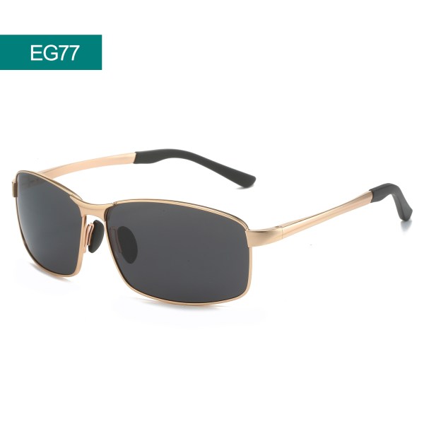 GLASSES/Sunglasses
